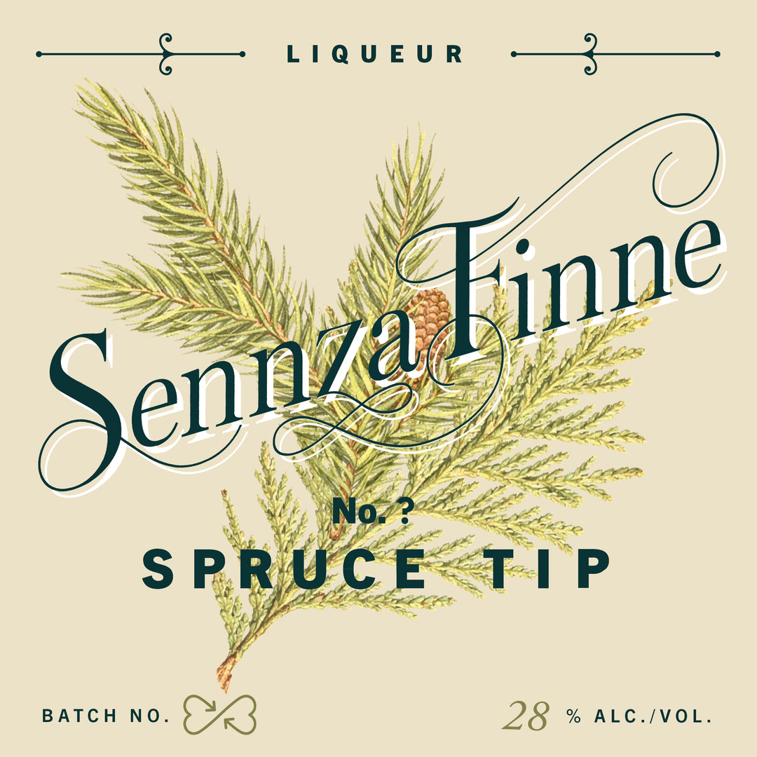 Spruce Tip Situation