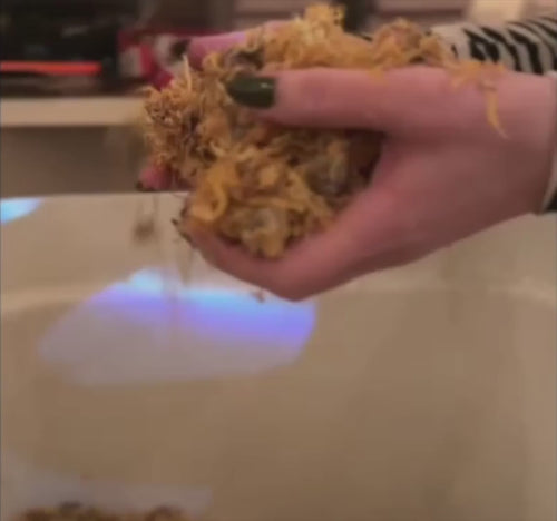 SennzaFinne watch us making Wild-Crafted Amaro